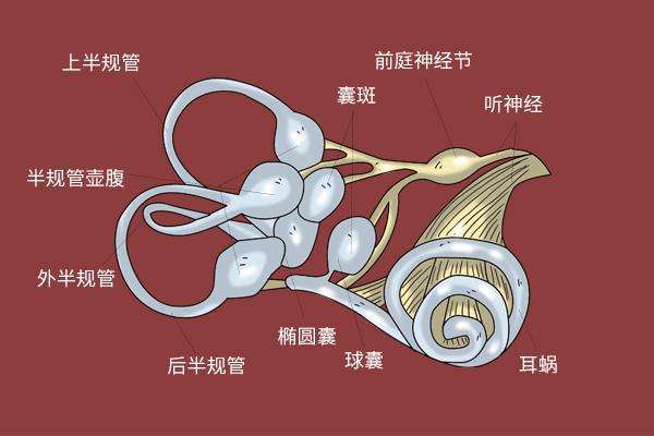 ��ʯ�Y����ί���