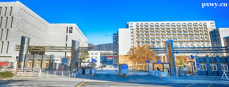 �������I(y��)�I(y��)���g�WԺ2024������ӱ�����������Ӌ��