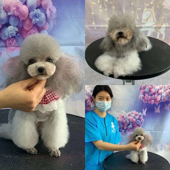 �������ݎ�һ��(g��)�´�Ŷ����X��