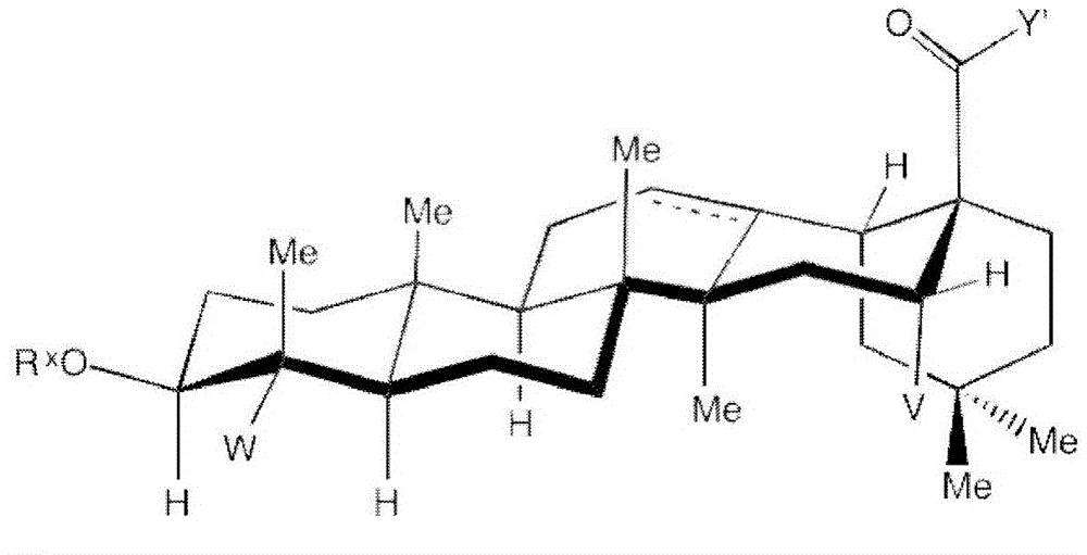 (zh)I(y)ˎlc(din):ˎ