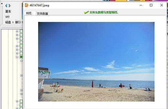 ��X�S����Ӗ(x��n)֮�Ƅ�(d��ng)Ӳ�P�`�h����Ƭ��λ֏�(f��)