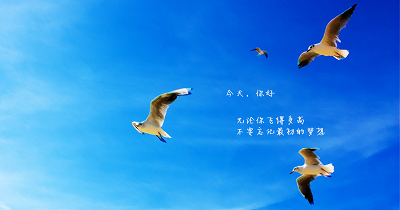 �W(xu��)��(x��)Java�_�l(f��)�A(y��)��bug����Щ����