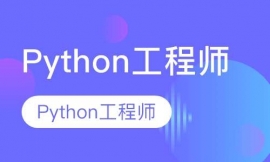 Python̎