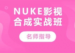 NUKEӰҕϳɌ(sh)(zhn)