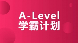 dA-LevelW(xu)Ӌ