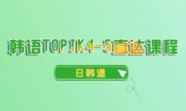 _nZTOPIK4-5ֱ_n