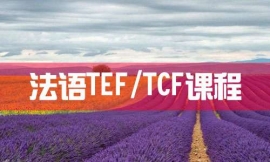 _(ti)ZTEF/TCFn--Z(gu)n