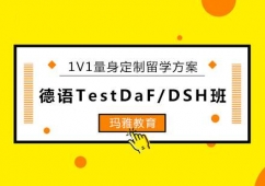 (yng)Z(y)TestDaF/DSHӖ(xn)