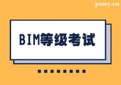 麣BIMȼԇӖ(xn)